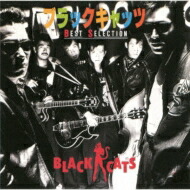 楽天市場】NOW ON SALE！◇BLACK CATS HARAJUKU BIBLE◇ブラック