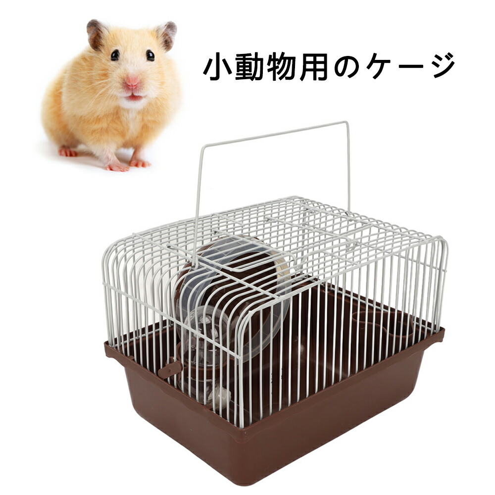 楽天市場】【2/25 00:00~23:59 ポイント5倍】○ジェックス ハビんぐ