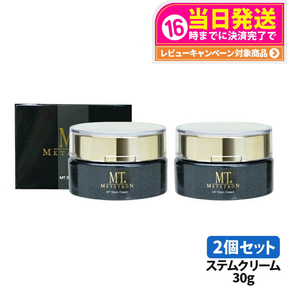楽天市場】【アウトレット 大特価 2個セット】MT メタトロン ステム