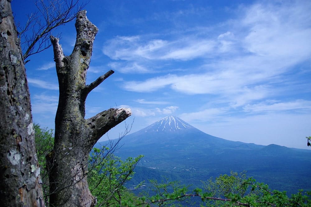 富嶽三十六景ハイキング｜YAMAP