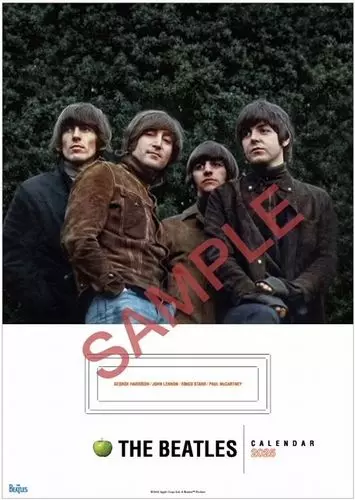 WITH THE BEATLES / ステレオ! これがビートルズ VOL.2/BEATLES