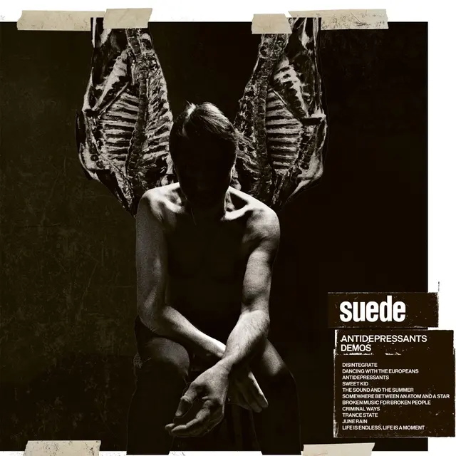 SUEDE / スウェード商品一覧｜ディスクユニオン・オンラインショップ