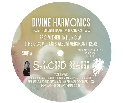 DIVINE HARMONICS PT4. DISC ONE OF A TWO PART 12INCH SERIES