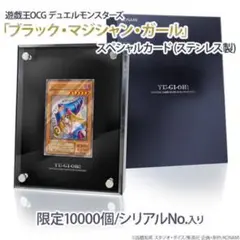 2026年最新】ブラックマジシャンガール ステンレスの人気アイテム