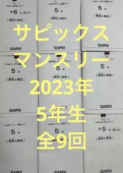 2026年最新】サピックス 新6年組分けテストの人気アイテム - メルカリ