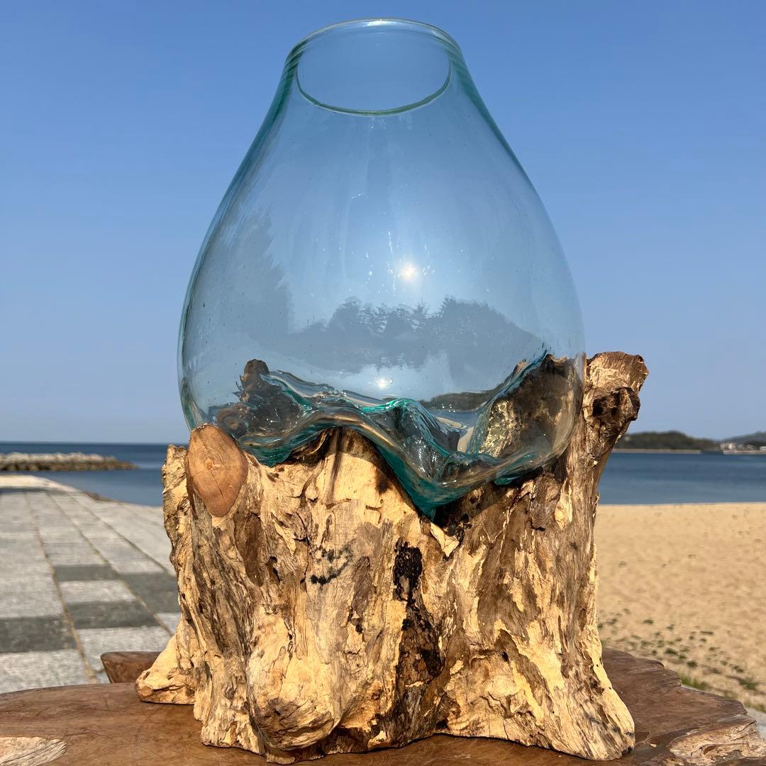 デッカい流木ガラスオブジェWC 花瓶 金魚鉢 水槽 苔リウム メダカ容器 超大型 楽天市場】選べる 流木ガラス オブジェ 超特大 めっちゃ大きい XL