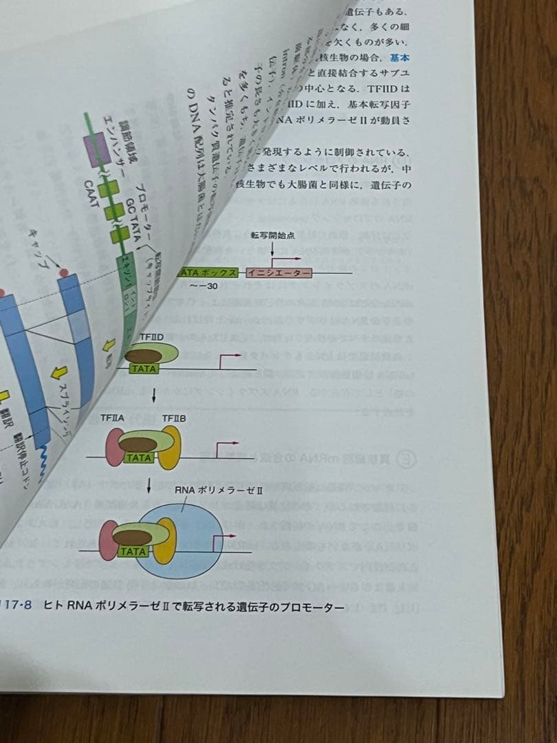 白本4冊セット] 現代歯科薬理学・基礎歯科生理学・老年歯科学・シンプル