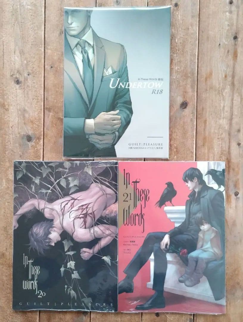 【日本未発売】２冊「In These Words」続編 chapter20,21 Amazon.co.jp: In These Words 2 (ビーボーイコミックスデラックス