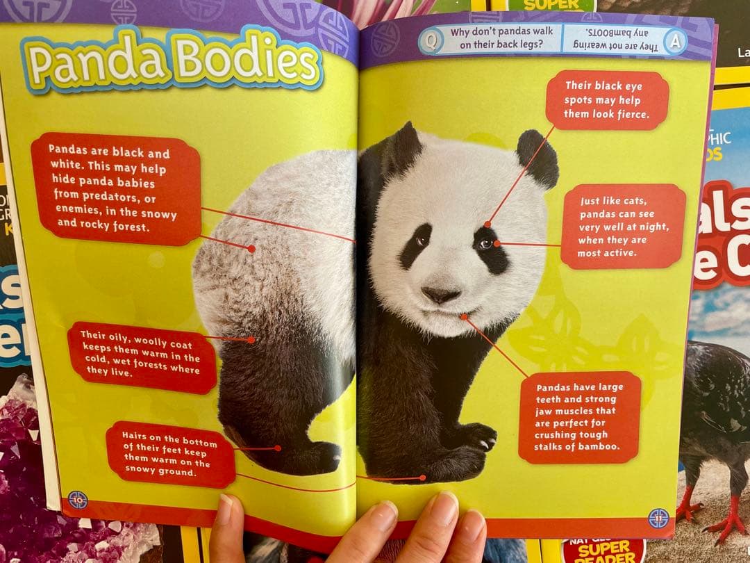 National Geographic Kids L1-3英語絵本125冊セット - メルカリ