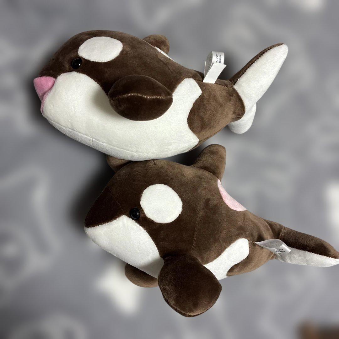 須磨シーワールド シャチ オルカくじ 新色 ショコラデュオカラー 4等