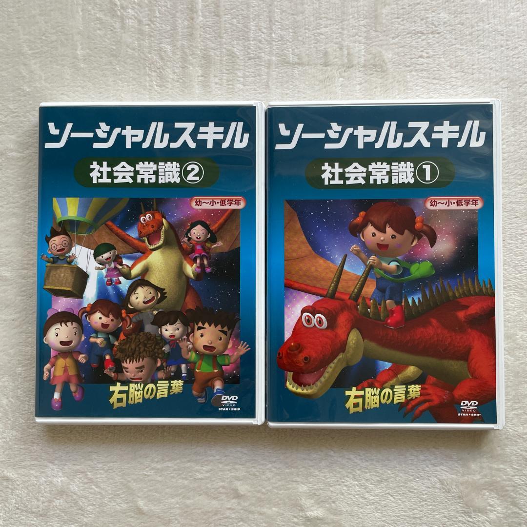 星みつる式 DVD 右脳の言葉 10枚セット ソーシャルスキル - メルカリ