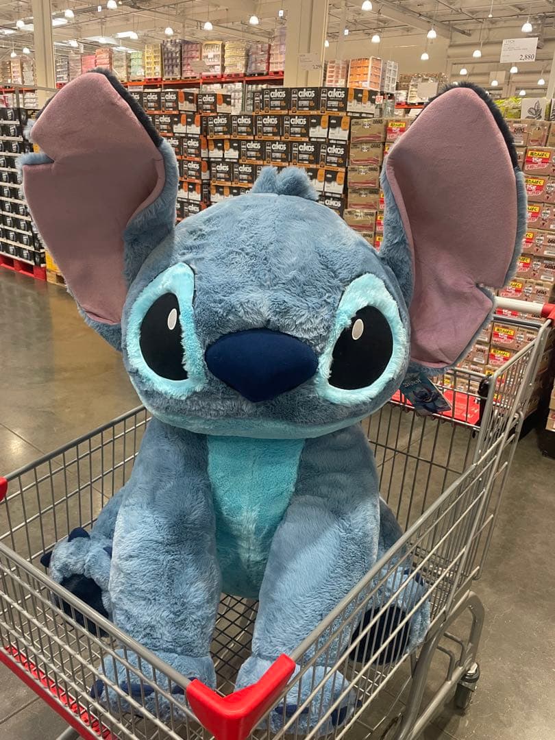 ディズニーダラー ミッキースティッチビッグサンダーマウンテン