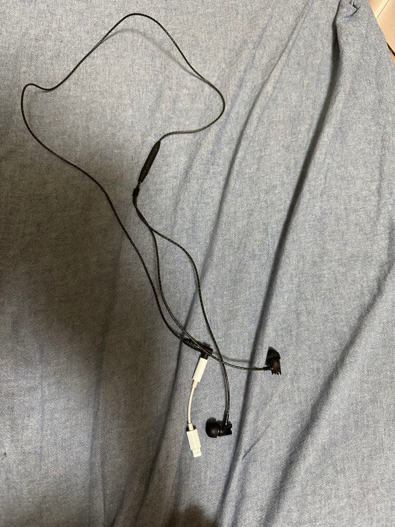 センバイザーIE800 SENNHEISER 『 IE800 』 - マサシのブログ(笑)