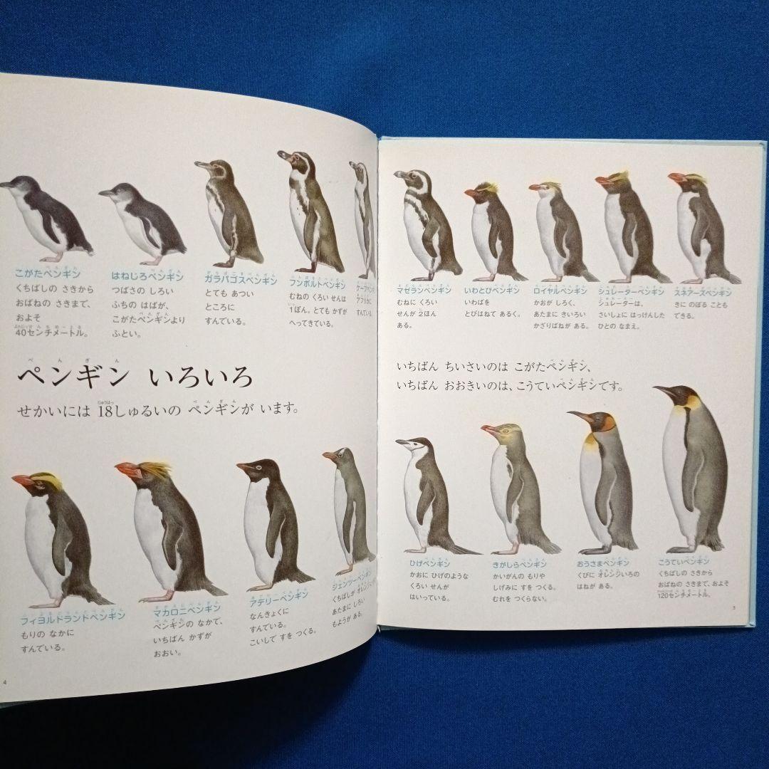 ビッグサイエンス キンダーブックしぜん こどものくに ペンギンさんの