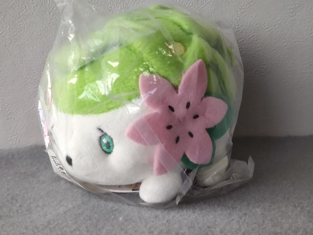 ポケモン ぬいぐるみまとめて フタチマル マホイップ ライチュウドール 他