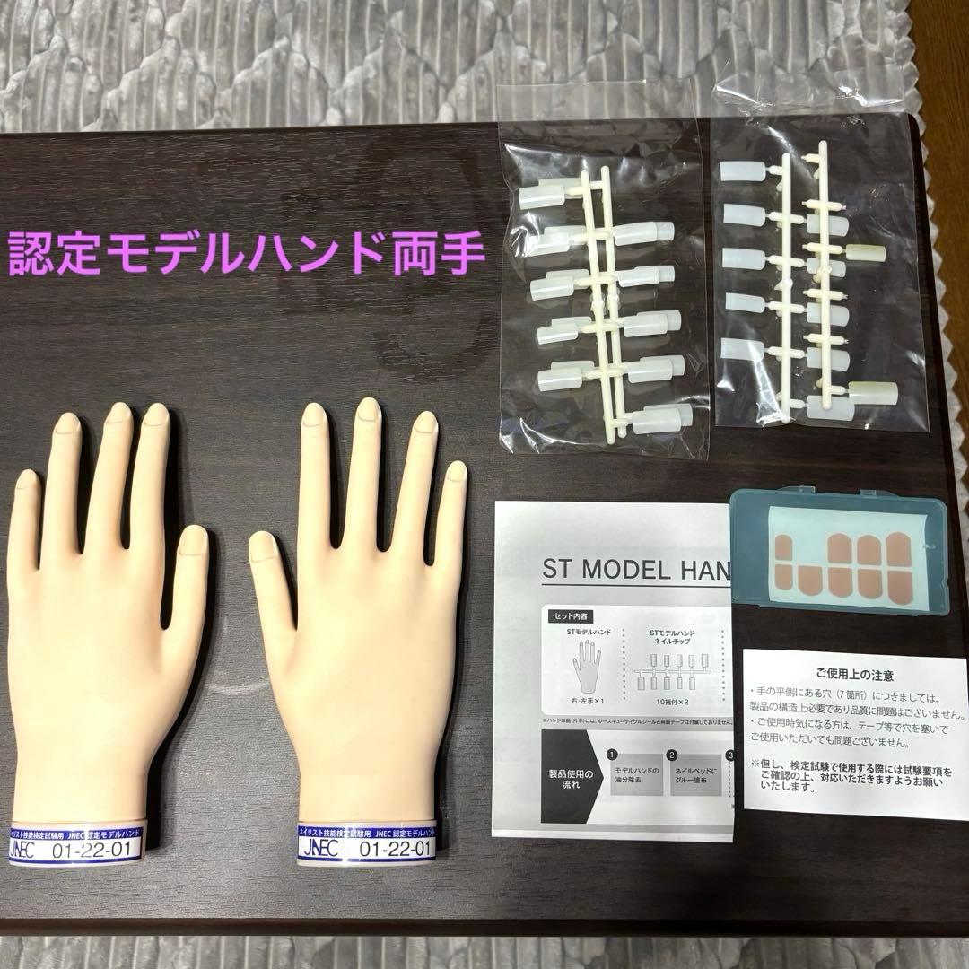 STモデルハンド右手&左手 ネイリスト技能検定試験用 JNEC認定モデルハンド takigawa-st-modelhand-lefthand