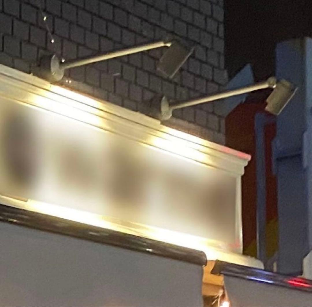 購入者様指定商品 LED ロングアーム スポットライト ブラック ２本セット グッドグッズ(GOODGOODS) LD-K2M 30W LED一体型アームライト 60CM