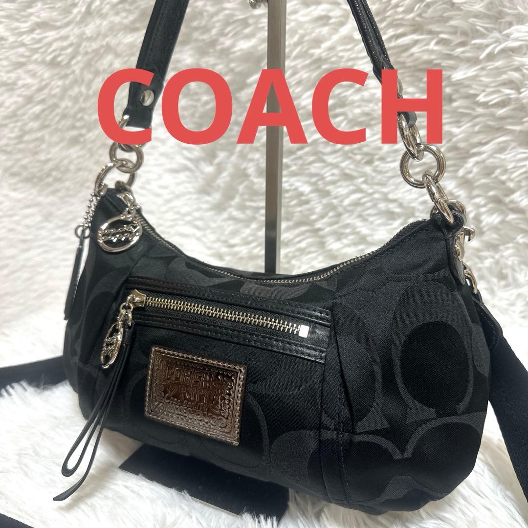 COACH コーチ　ポピー　黒　ワンショルダーバッグ ハンドバッグ　y2k COACH コーチ ポピー 黒 ワンショルダーバッグ ハンドバッグ y2k