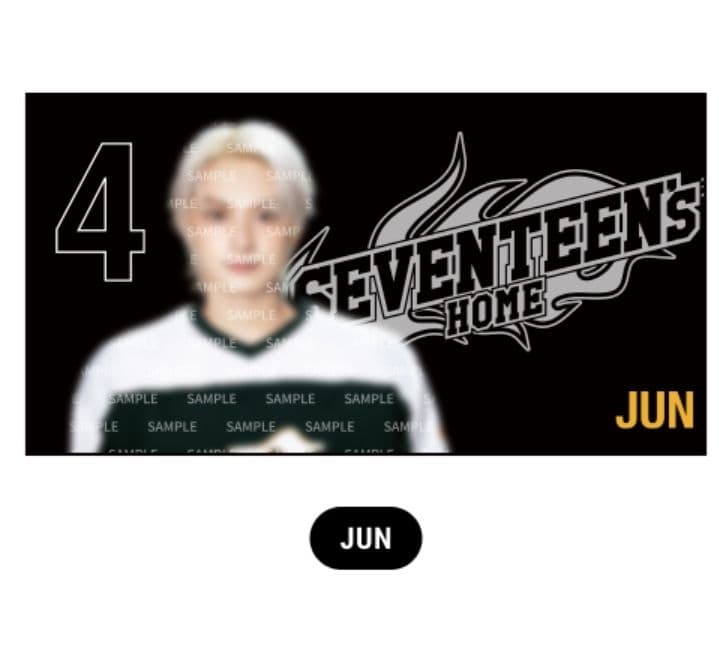 Seventeen Japan Merch Shop 2025 | TikTok SEVENTEEN HOME 2025 ミニ