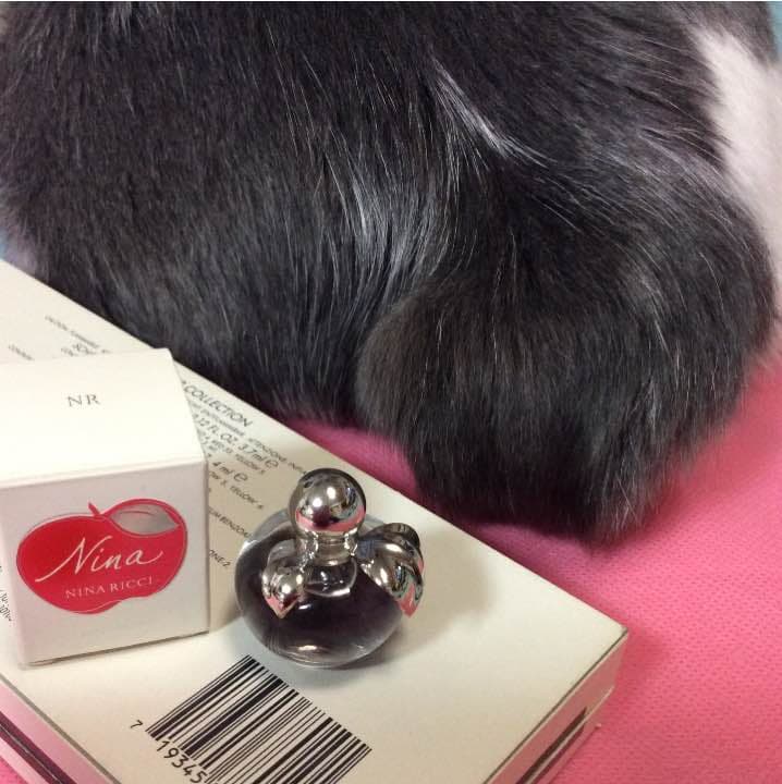 【お取り置き品】ニナリッチ ニナ ４ml Nina Ricci | 公式ストア - ファッション＆フレグランス