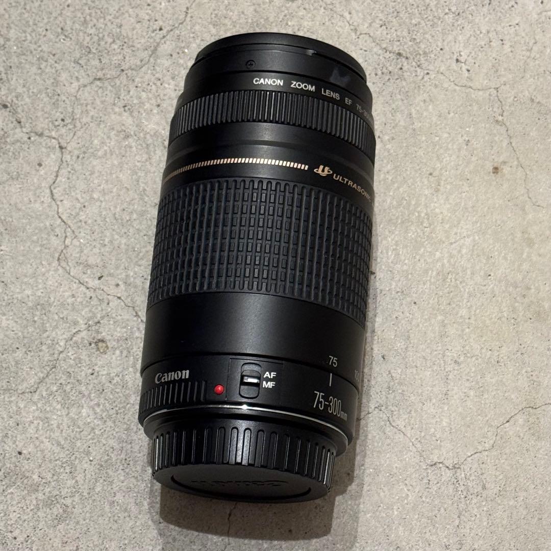 Canon EFレンズ　75-300 Canon EF 75-300mm f/4-5.6 III Telephoto Zoom Lens for EOS Rebel