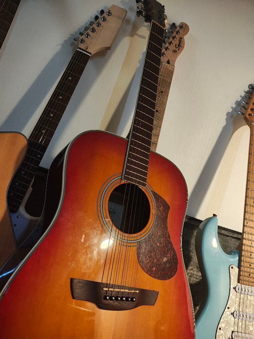 年末割引James アコースティックギター サンバースト Sepia Crue WG-10 Vintage Sunburst (ヴィンテージサンバースト