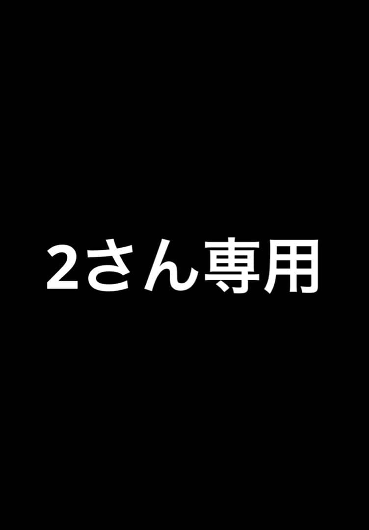 2さん専用　　Ferragamo ハンドバッグ サルヴァトーレ フェラガモ Salvatore Ferragamo ハンドバッグ 211424