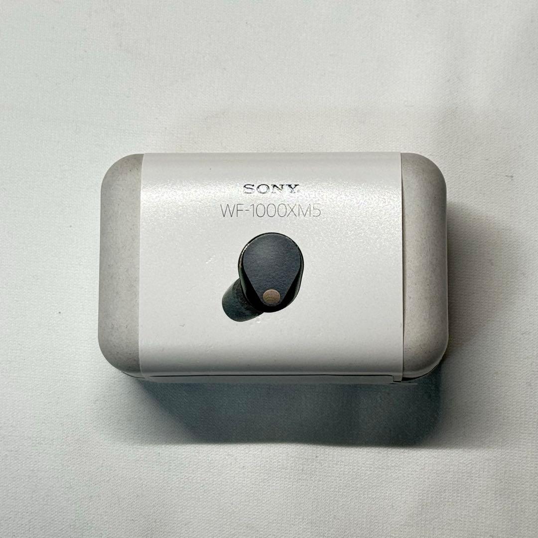【専用ケース付き】SONY WF-1000XM5 ワイヤレスイヤホン ブラック sony wf-1000xm5 wf-1000xm4 PUレザーケース leather フルカバー