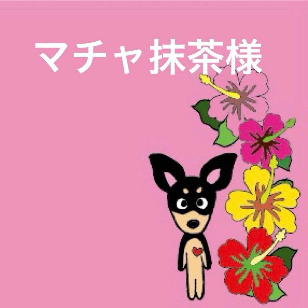 マチャ抹茶様　ボディバック　通院手帳サコッシュ　チワワ　トイプードル ald24b005-02a.jpg