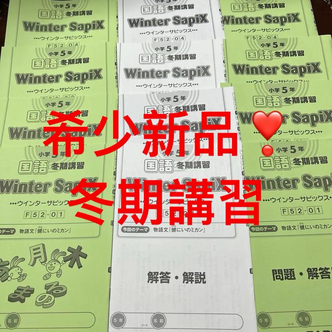 ㉒A 新品　サピックス　SAPIX 5年　国語　冬期講習　ウィンターサピックス SAPIX 小学5年 国語 冬期講習 Winter SapiX F52-01～04 計4セット