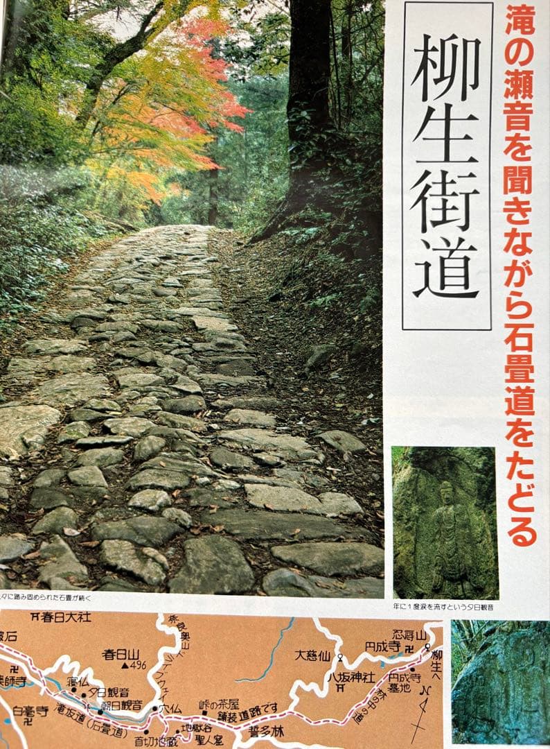 るるぶ 奈良・大和路・紅葉の日光・尾瀬 1984年 - メルカリ