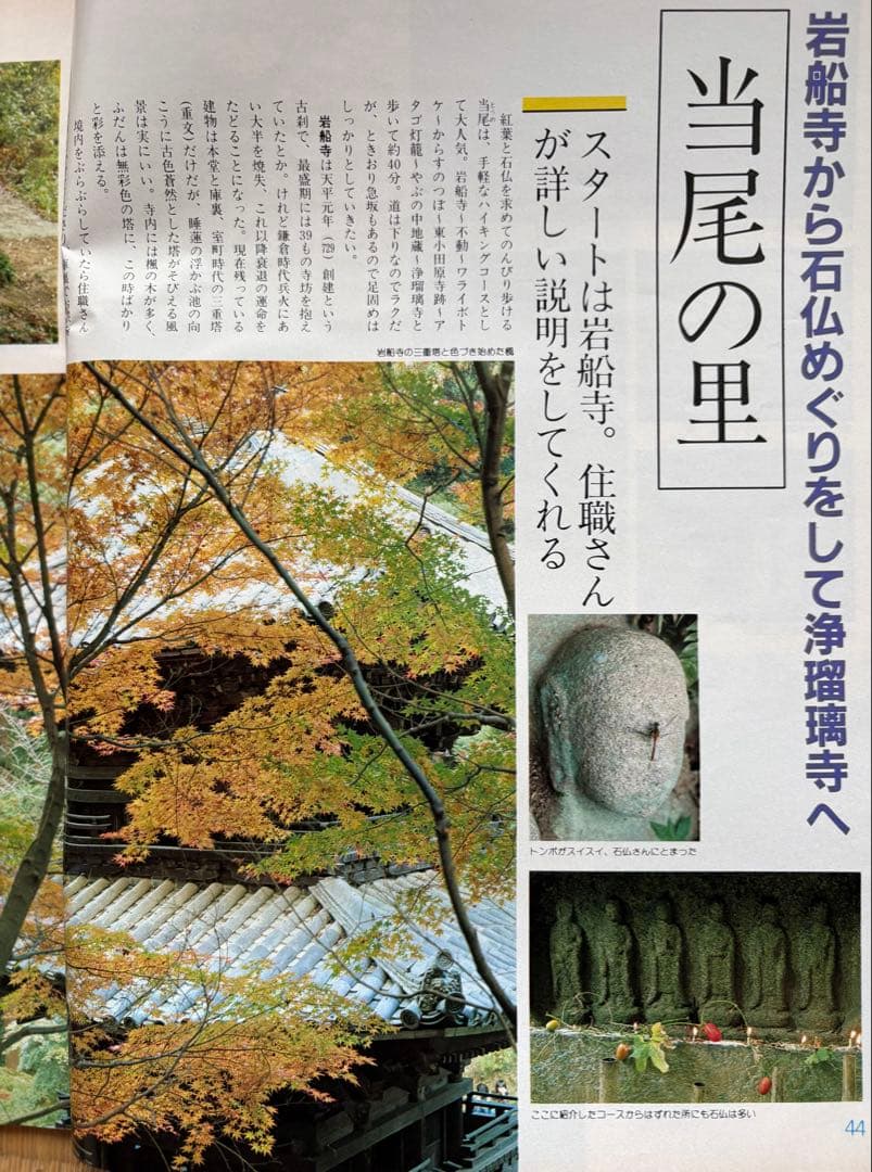 るるぶ 奈良・大和路・紅葉の日光・尾瀬 1984年 - メルカリ